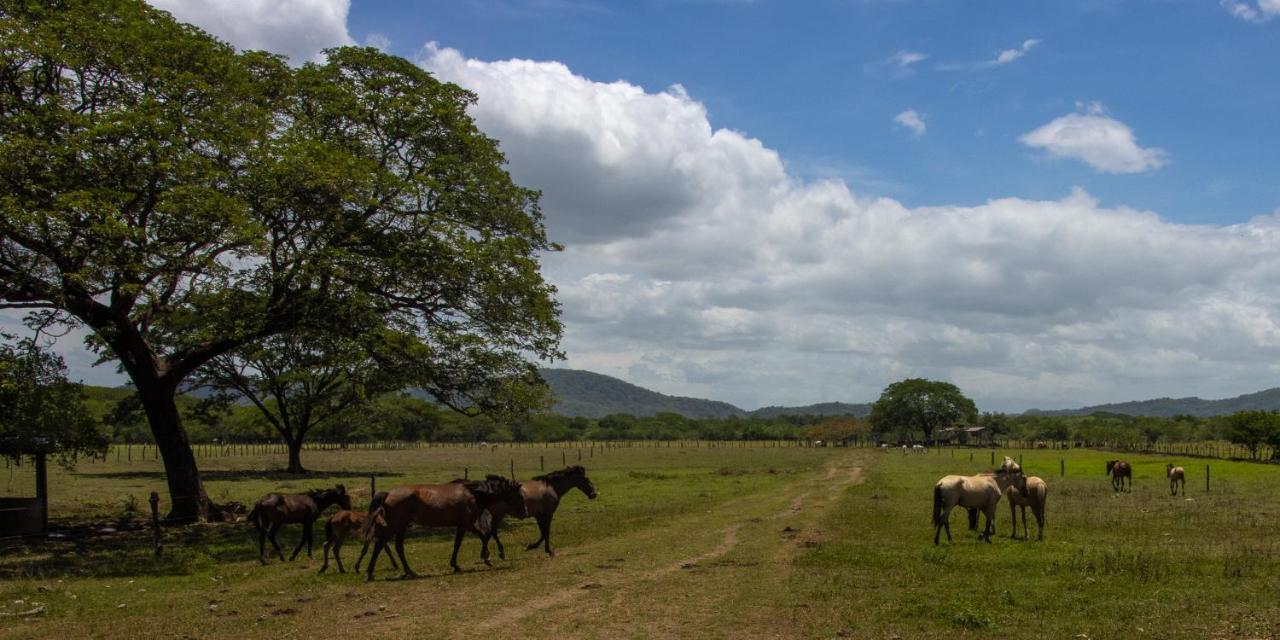 Rancho Humo Estancia Puerto Humo  Zewnętrze zdjęcie