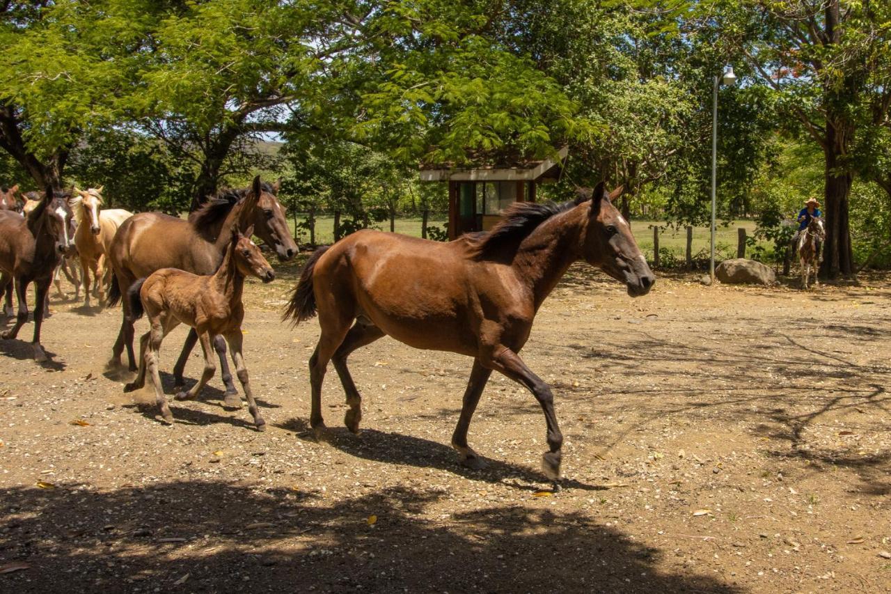 Rancho Humo Estancia Puerto Humo  Zewnętrze zdjęcie